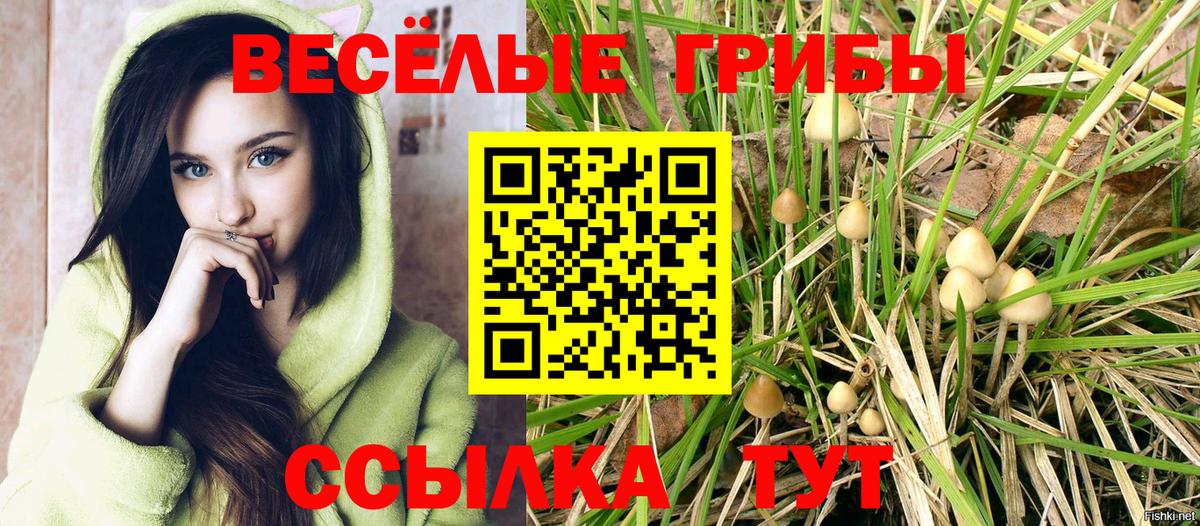 купить наркоту  Псилоцибиновые грибы мицелий  Вход с VPN  Тимашёвск  Псилоцибиновые грибы ЛСД 